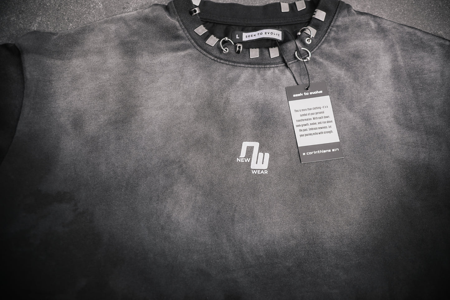 SEEK TO EVOLVE: Renaissance Premium Tee